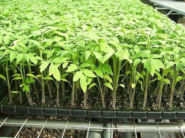 應用范圍三